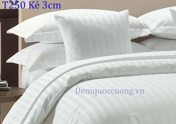 T250 Kẻ 3Cm