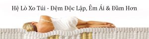 Hệ Lò Xo Túi
