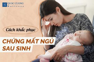 Web Mat Ngu 1