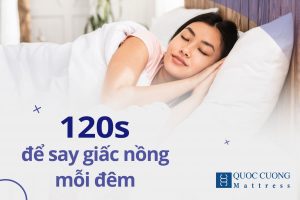 Web Duy Tri 1