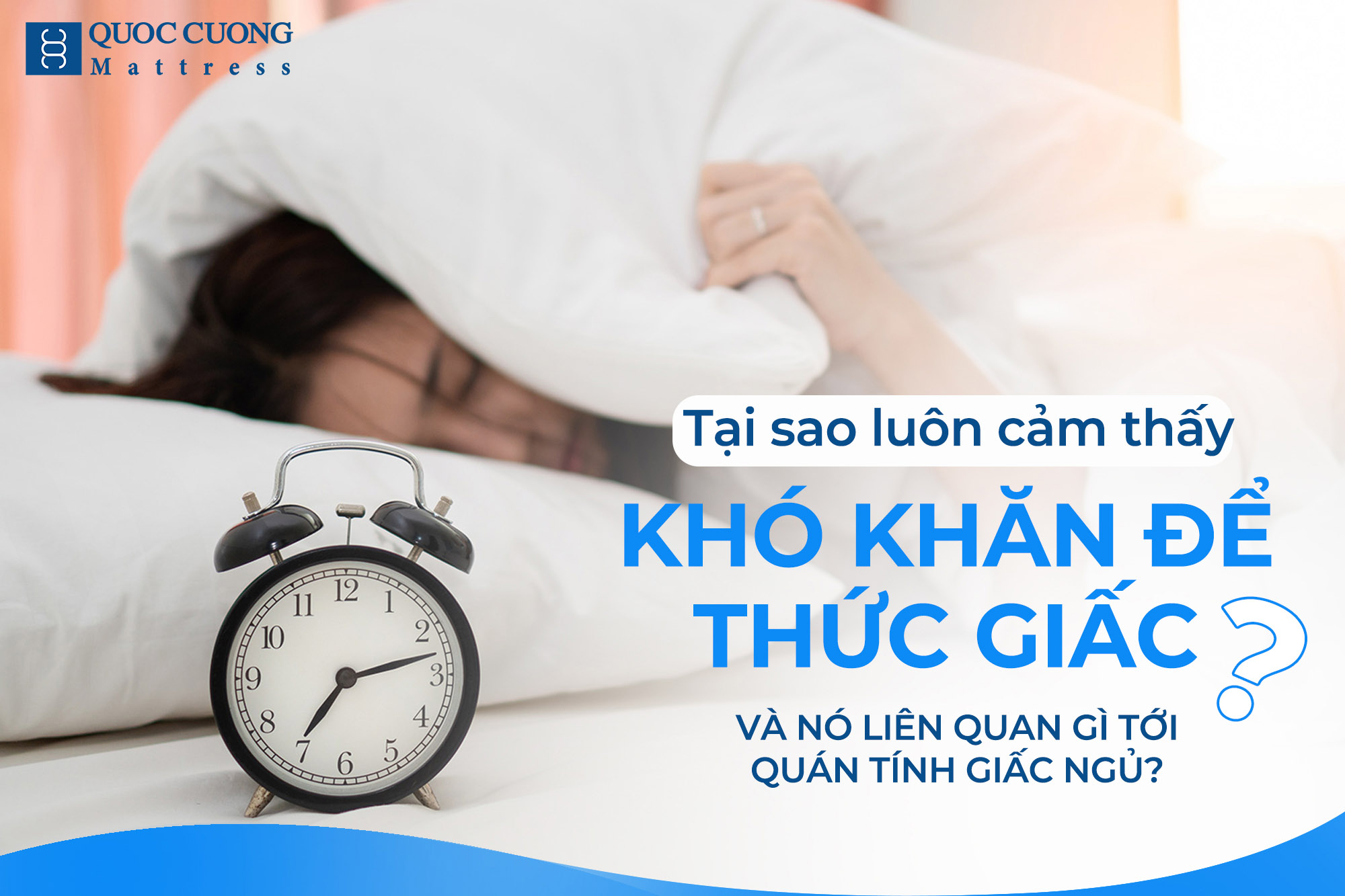 Bộ Web Quán Tính Giấc Ngủ (1)
