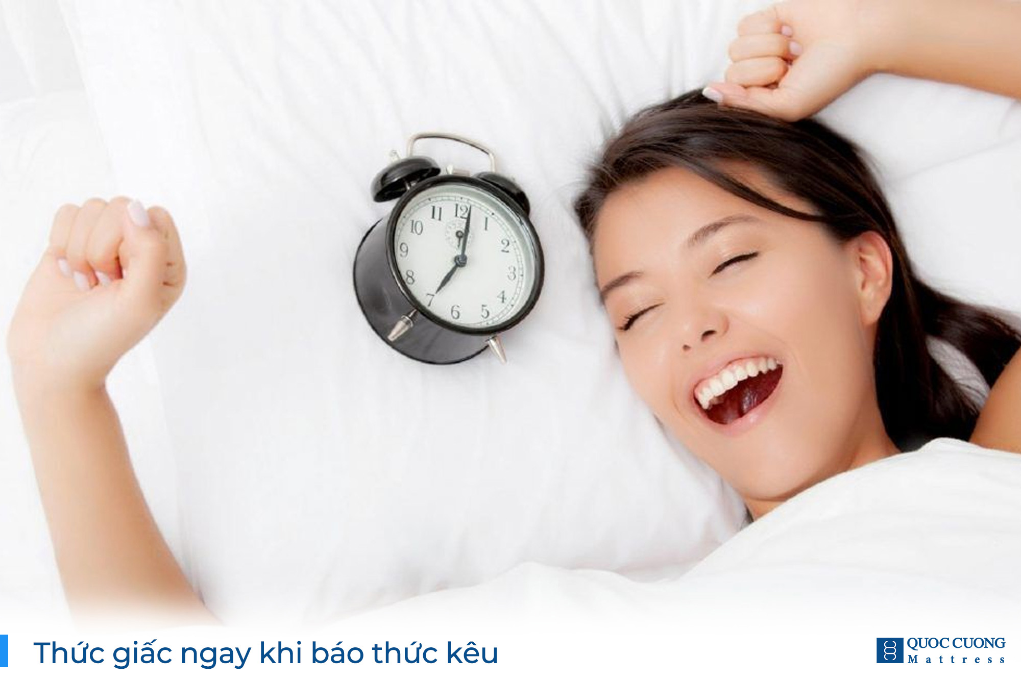 Bộ Web Quán Tính Giấc Ngủ (2)