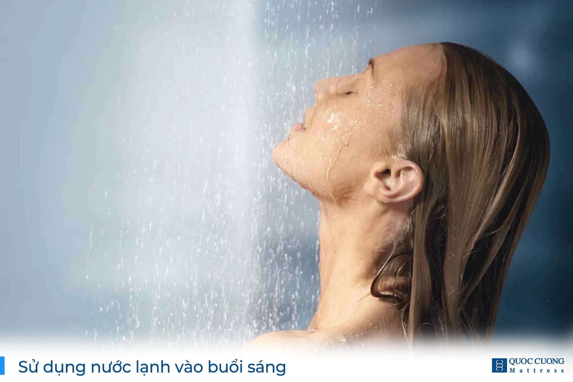 Bộ Web Quán Tính Giấc Ngủ (3)