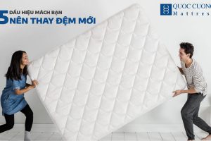 5 DẤu HiỆu MÁch BẠn NÊn Thay ĐỆm MỚi