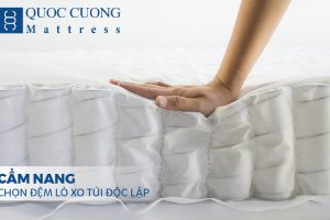 CẨm Nang ChỌn ĐỆm LÒ Xo TÚi ĐỘc LẬp (1)