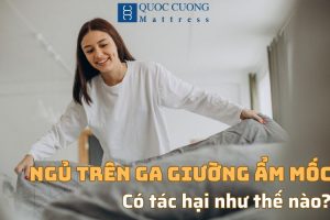 Ảnh Web (1)