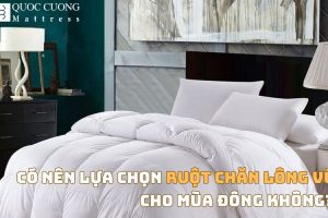 Chăn Lông Vũ