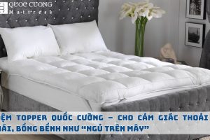 Ảnh Web