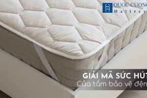 Sức Hút Khiến Tấm Bảo Vệ đệm Ngày Càng được ưa Chuộng