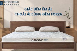 Giấc Đêm Êm Ái – Thoải Mái Cùng Đệm Forza