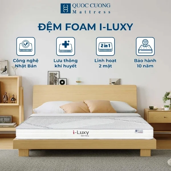 Dem Foam I Luxy 11