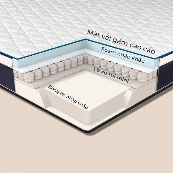 Dem Lo Xo Tui Doc Lap Boston 10