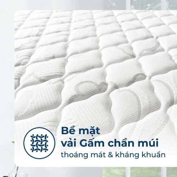 Dem Lo Xo Tui Doc Lap Boston 8